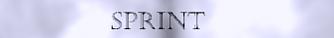 S p r i n t